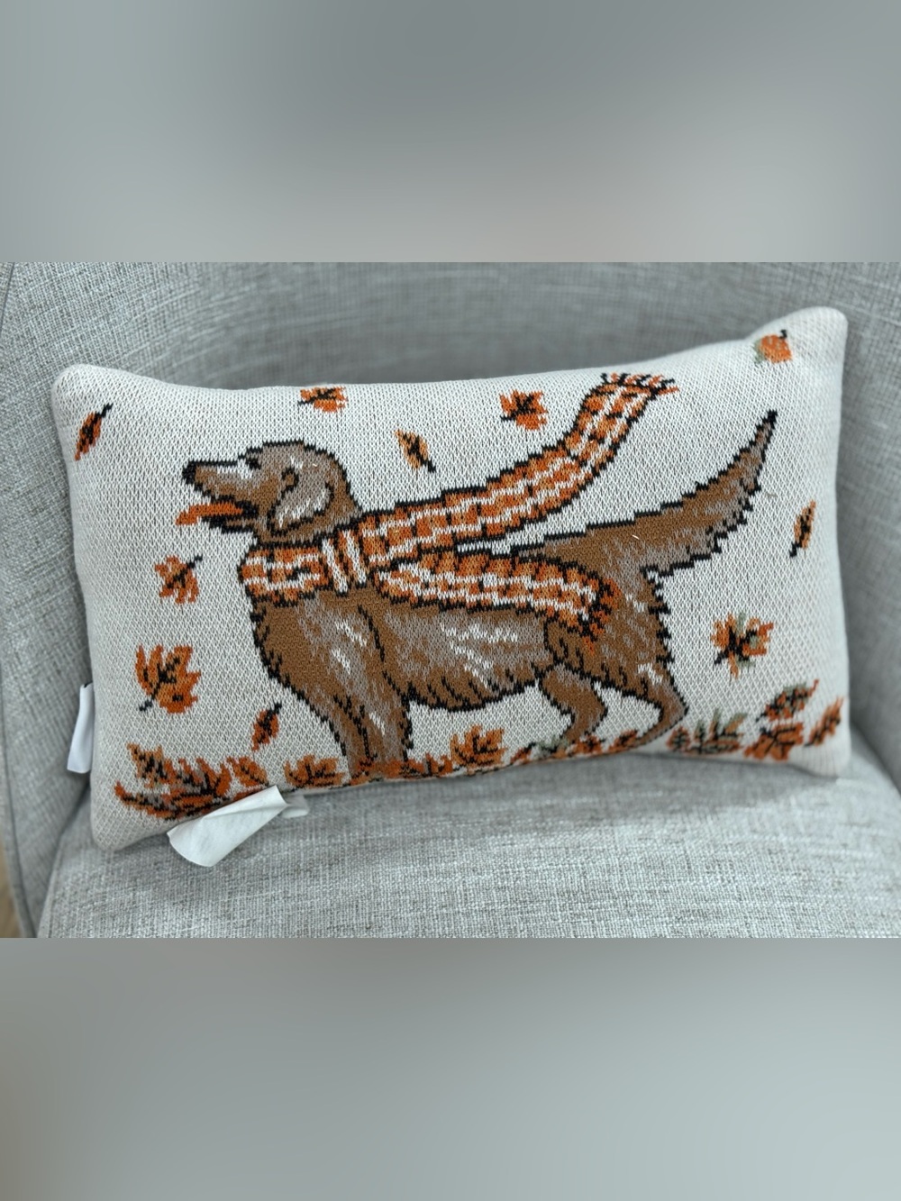Decorative Brown Dog Knit Pillow double side with Orange Accents -
